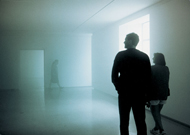 Ann Veronica Janssens