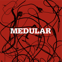 Medular