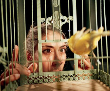Jan Fabre presents the dance-theater solo 