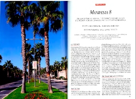 Special Manifesta 8 Feature in Kunstforum