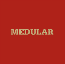 Blog Medular